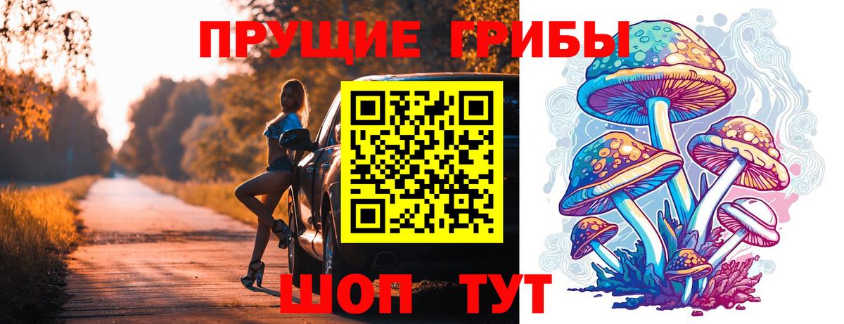 Галлюциногенные грибы Psilocybe  даркнет сайт  Нефтеюганск  Вход с VPN 